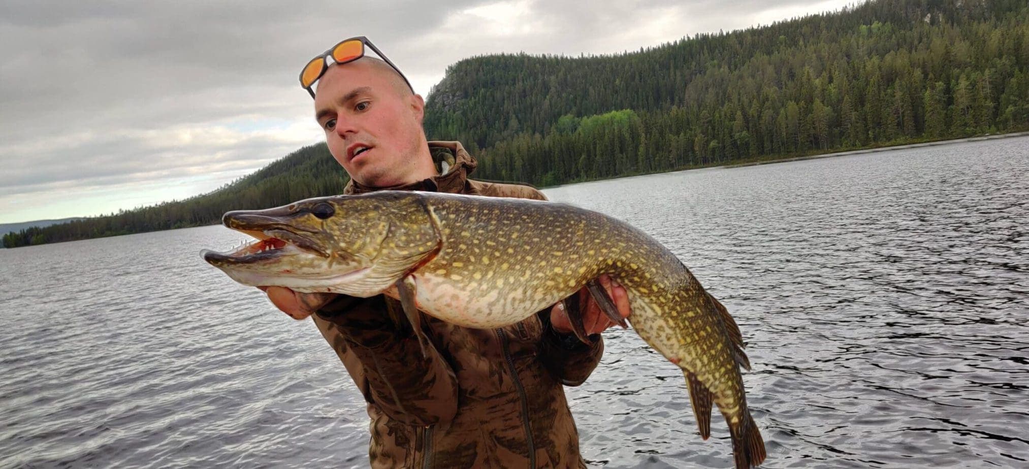 %Fiskerejser efter Laks, ørred og stør% Vildmarks camp ved Masvik store gedder
